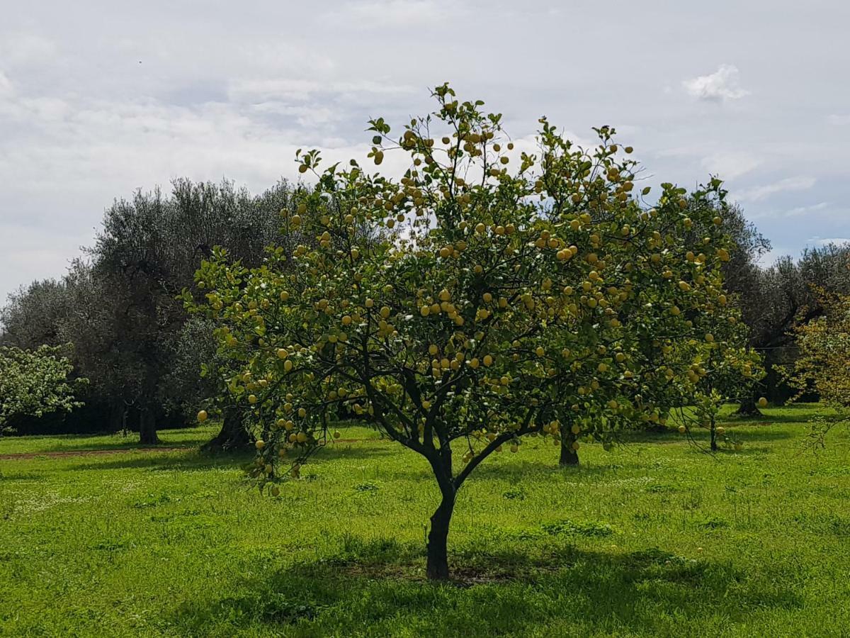 Masseria Pisciani Torchiarolo Zewnętrze zdjęcie